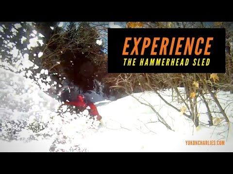 Experience the Hammerhead Sled - 2017 - Yukon Charlie&#039;s