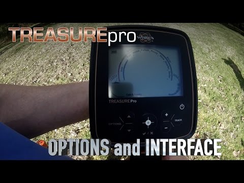 TreasurePro - Options and Interface