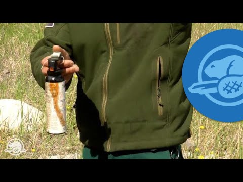 How to Use Bear Spray - Banff National Park