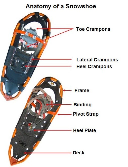 Anatomy of a Snowshoe