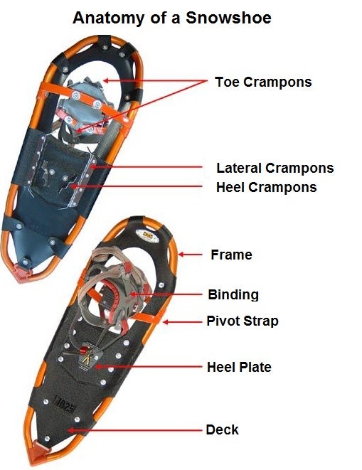 Anatomie eines Schneeschuhs