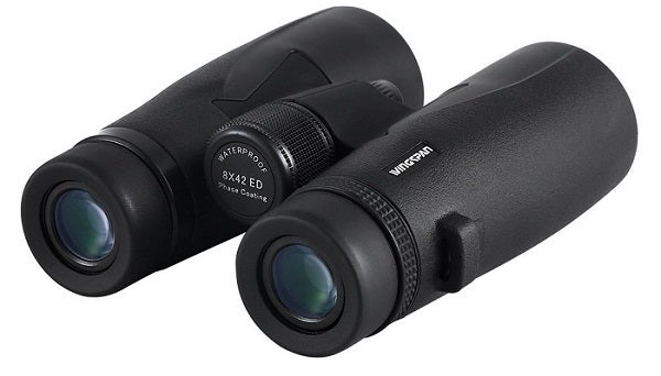 Best Compact Binoculars For Birdwatching