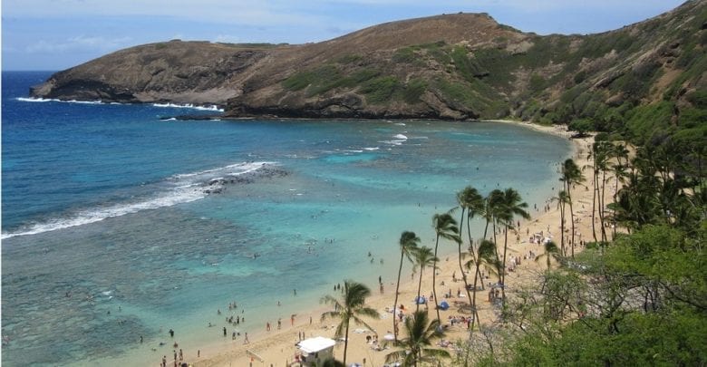 Best Hanauma Bay & Oahu Snorkeling Tours