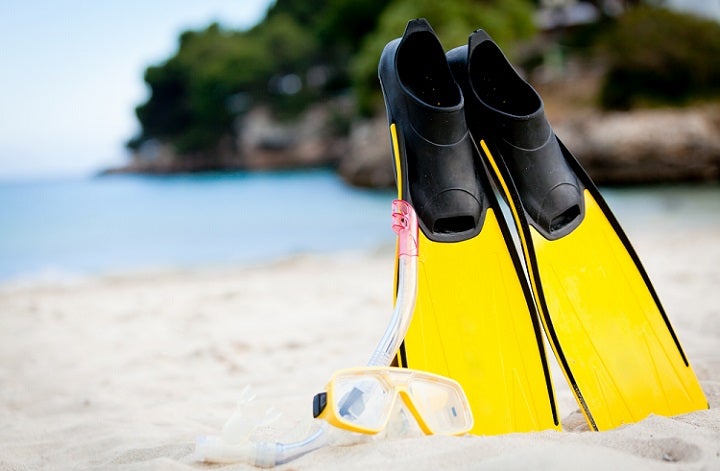 Best Snorkel Fins