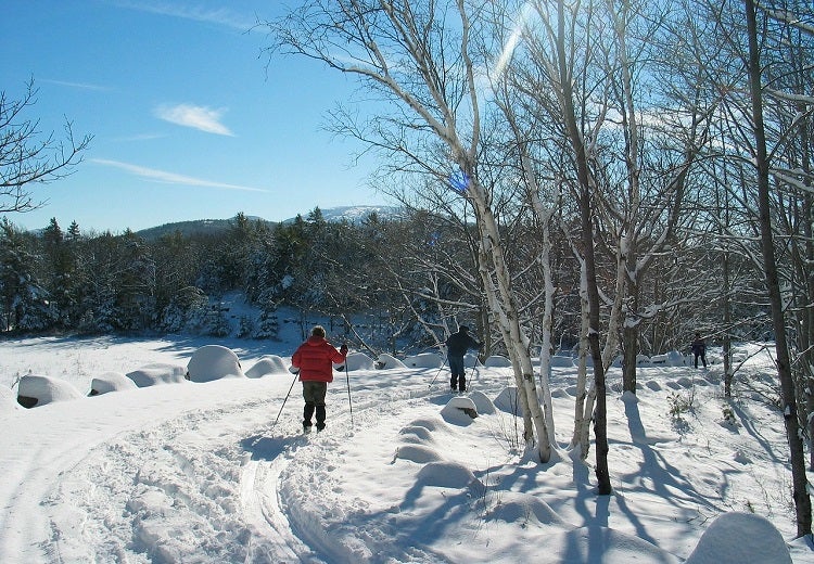 Cross Country Ski Reviews