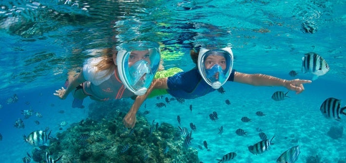 Full Face Snorkel Mask