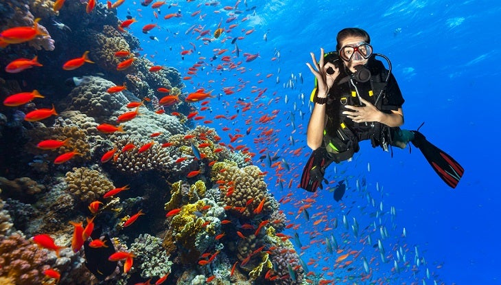 Best Dive Computer