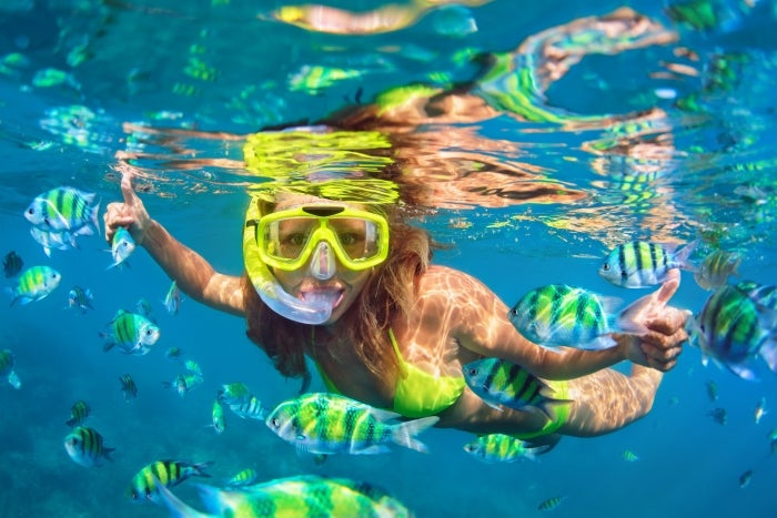 key west snorkeling tours