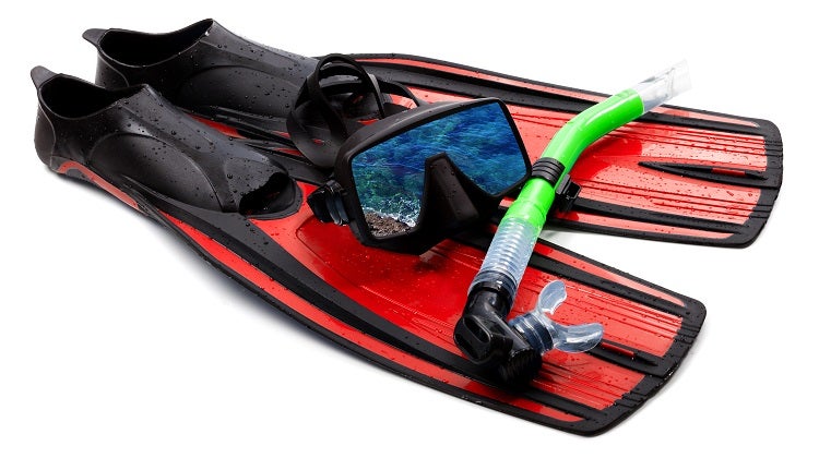 Best Snorkeling Gear