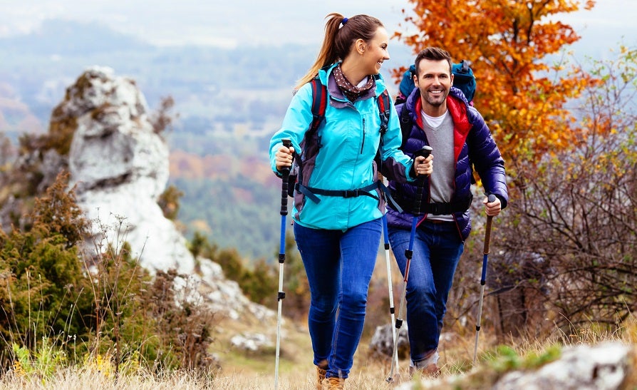 hiker walking pole