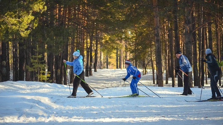 Beginners Guide To Cross Country Skiing