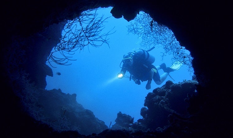 Best Dive Light