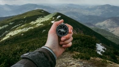 How To Navigate In The Woods