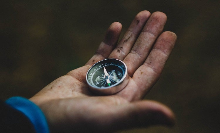 How to navigate in the woods