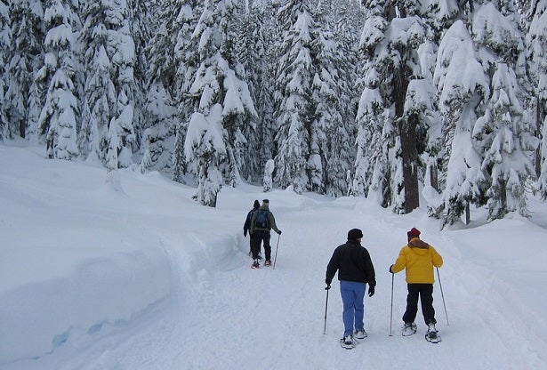 Snowshoe Technique Snowshoe Technique