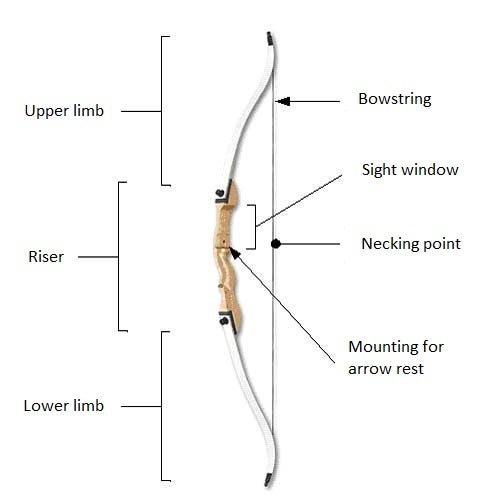 Parts of a Recurve Bow