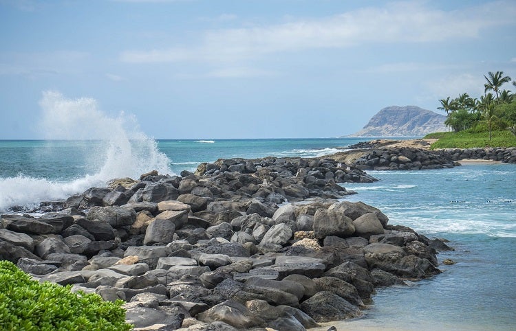 Things to do in Oahu