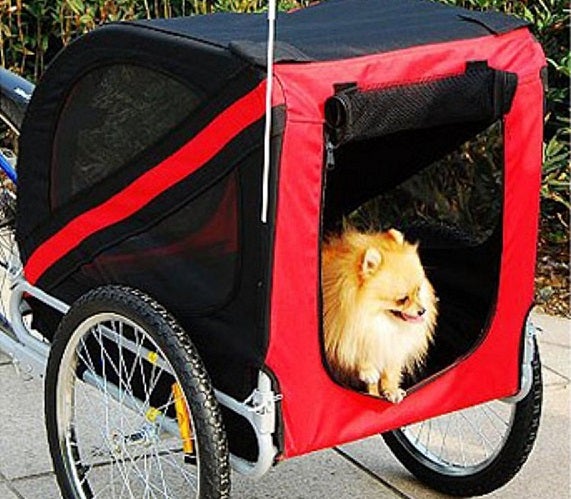 Aosom Elite Pet Bike Carrier