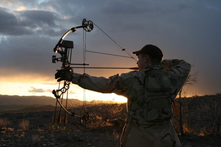 The 5 Best Beginner Compound Bows [2021 Reviews] Outside Pursuits