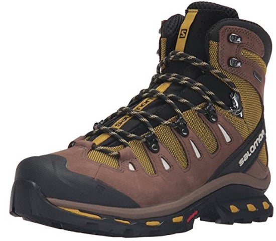 Salomon Men's Quest 4D 2 GTX Hiking Boot