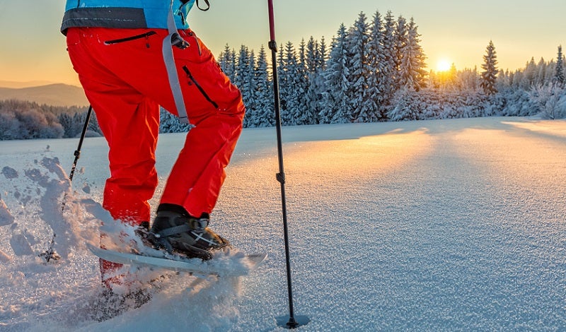 snow shoe boots