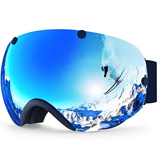 Lagopus Snowmobile Snowboard Goggles Detachable 