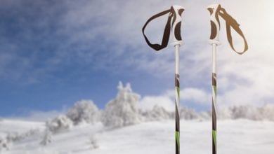 Best Ski Poles