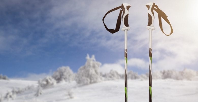 Best Ski Poles