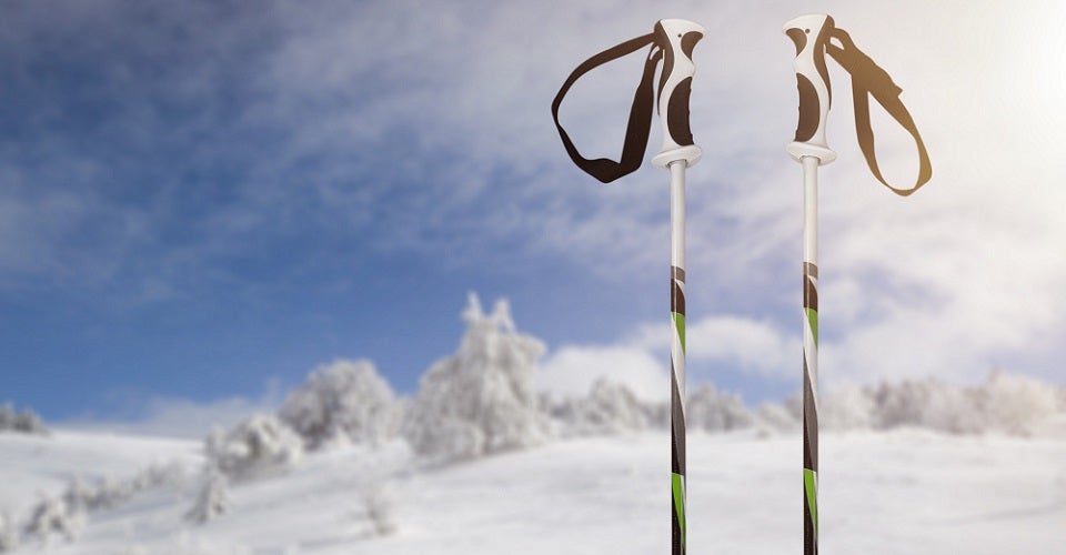 best ski poles