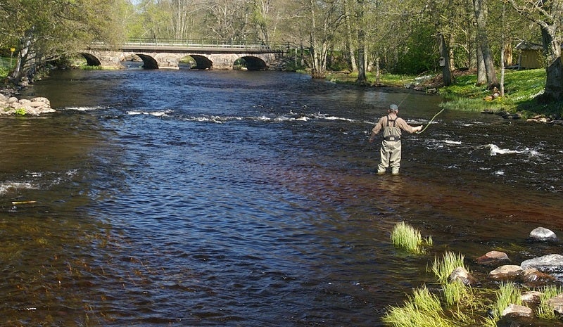 Best Fishing Waders