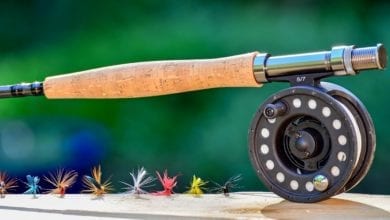 Best Fly Fishing Reel