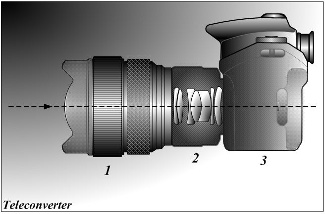 Best Wildlife DSLR Camera