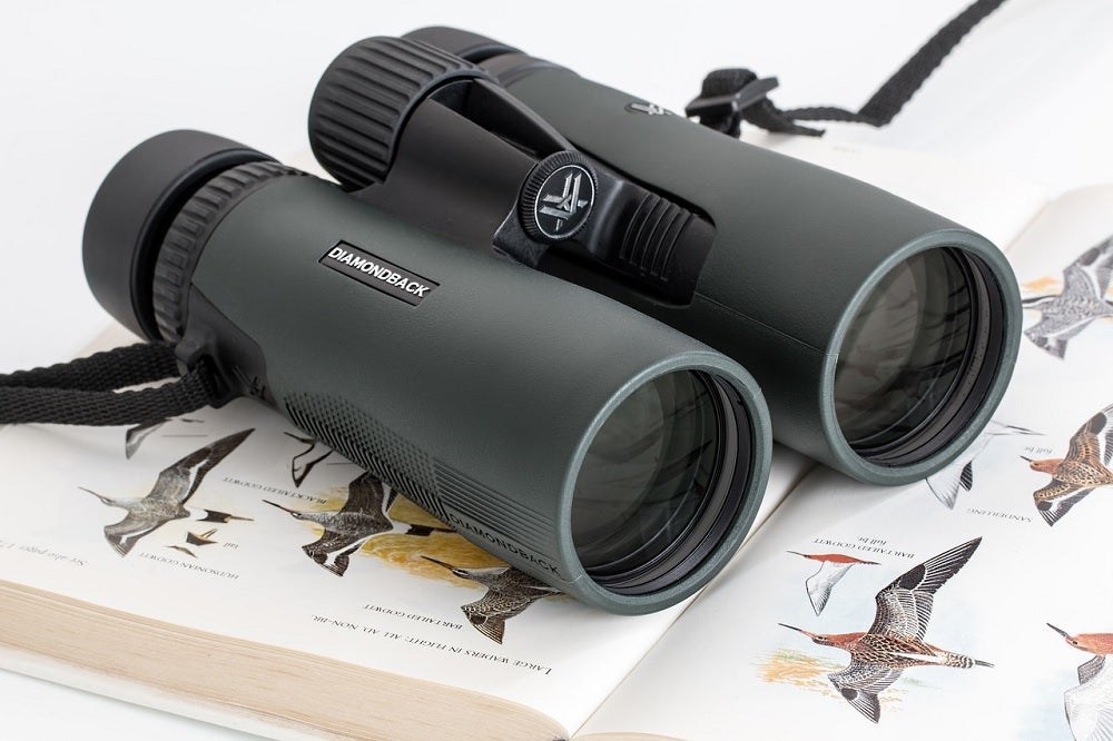 How to start birdwatching