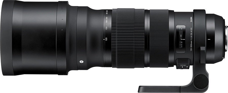 Wildlife Photography Camera Lenses