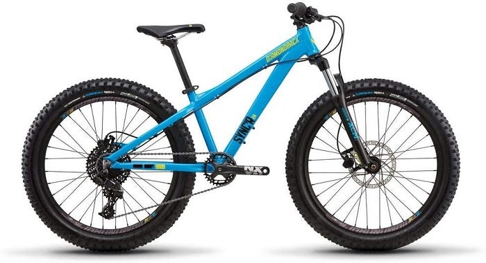 raleigh eva 24 girl's mountain bike