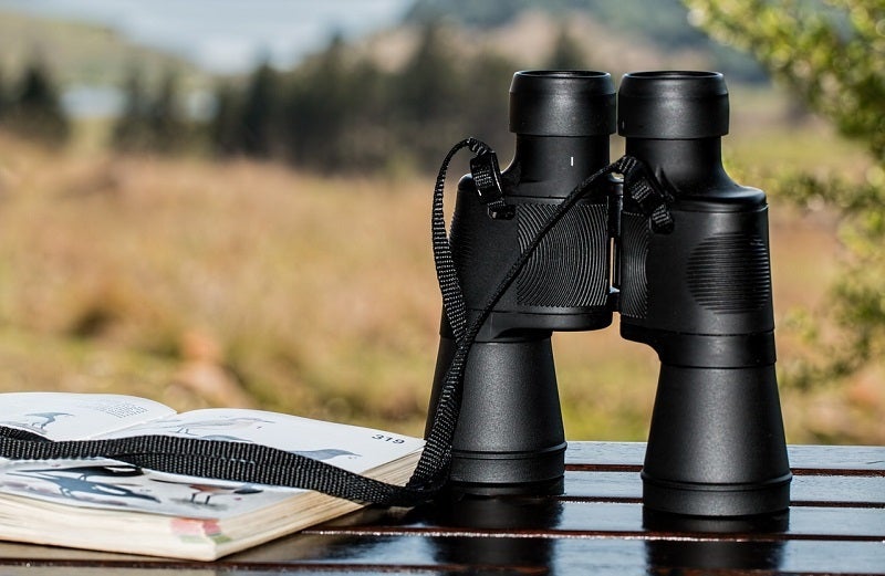 best binoculars for bird watching