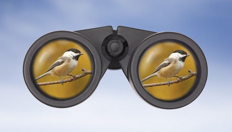 which binoculars for bird watching