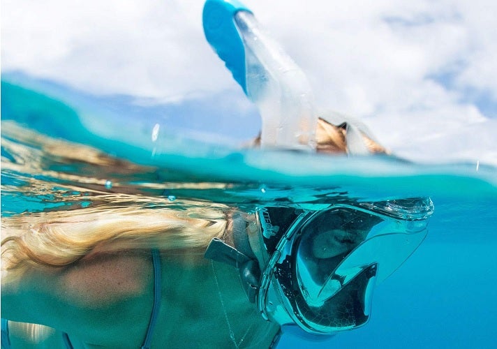 full face snorkel mask