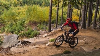 best beginner mountain bike