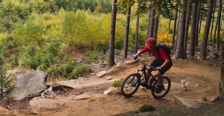 entry mountain bike
