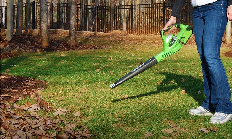 best cordless leaf snow blower