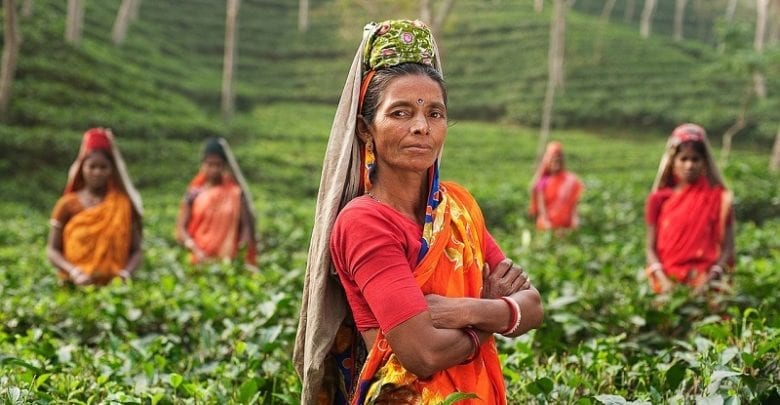 Places to travel in India
