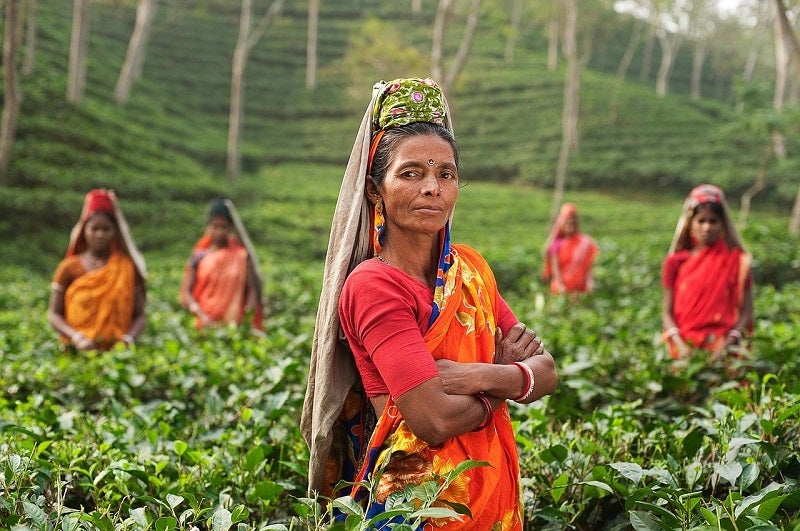 Places to travel in India