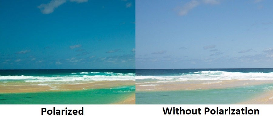polarized sunglasses lenses