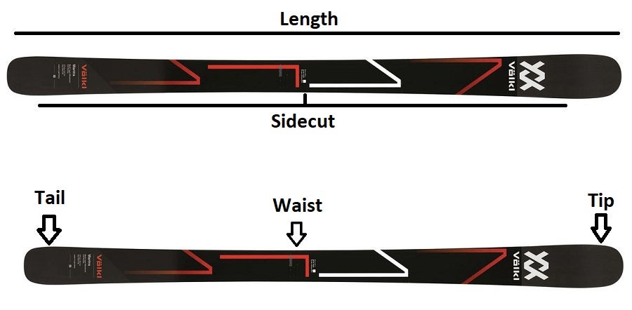 All Mountain Ski Anatomy