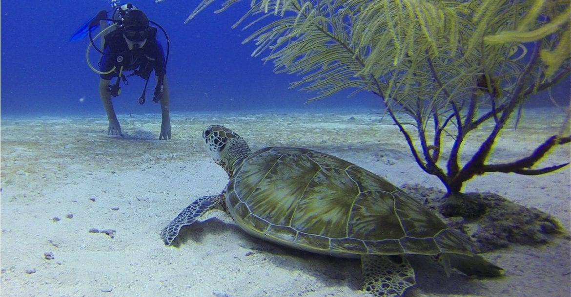Scuba Diving Malta
