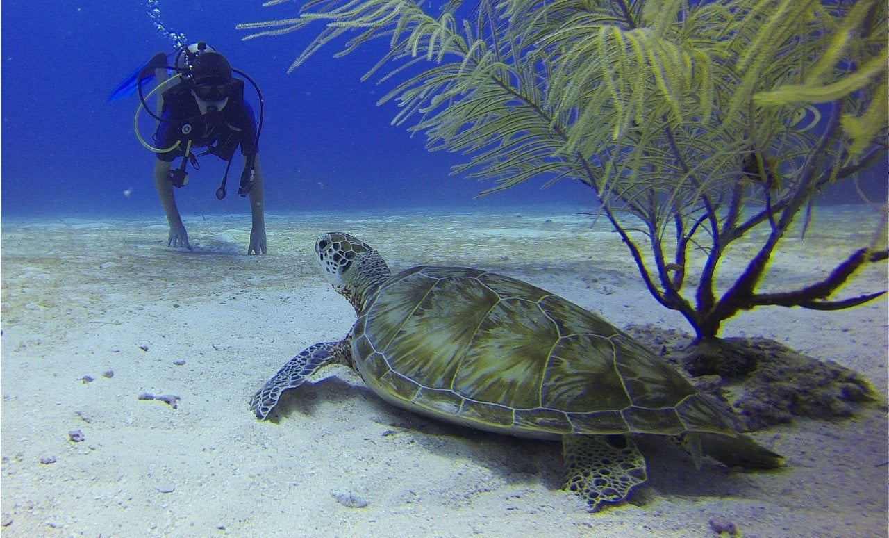 Scuba Diving Malta