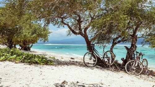 beach cruiser bikes on a scenic beach scene