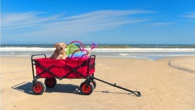 best beach cart