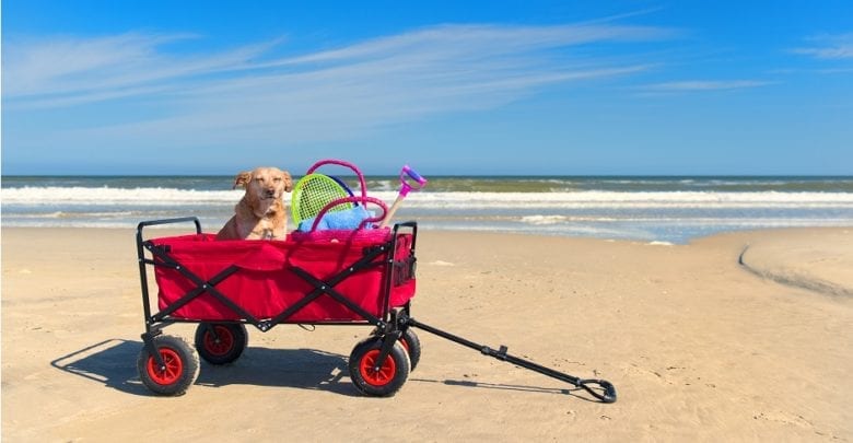 best beach cart